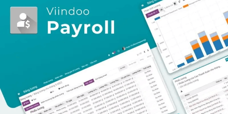 Viindoo Payroll – Tự động hóa quy trình tính lương, thưởng